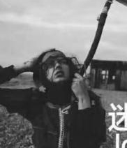 丹丹321的头像